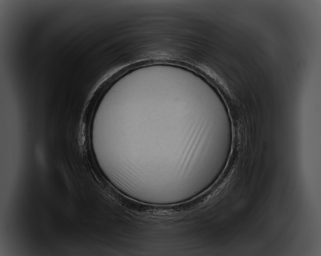 X0000100191070200806201250