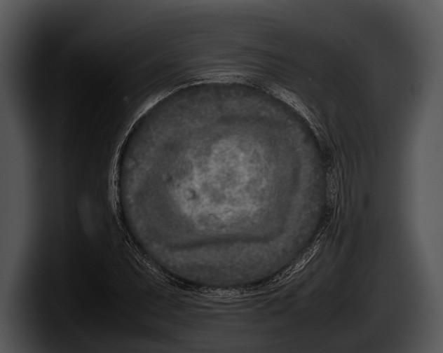 X0000100191071200806201250