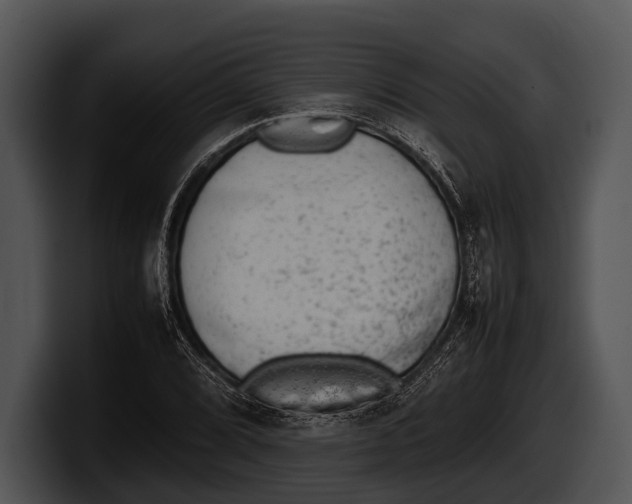 X0000100191072200806201250