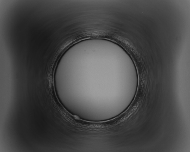 X0000100191073200806201250