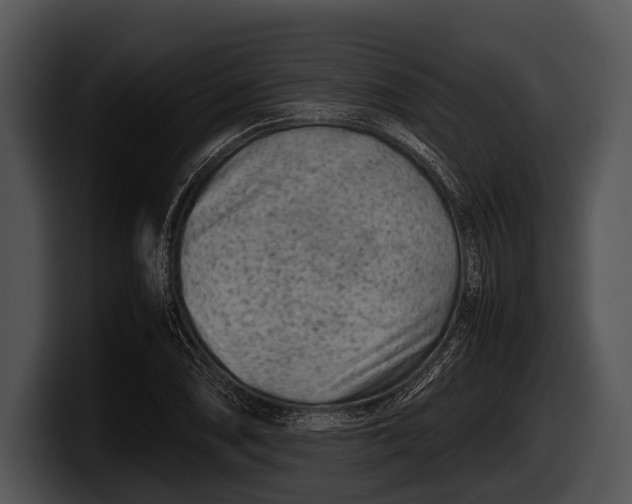 X0000100191074200806201250