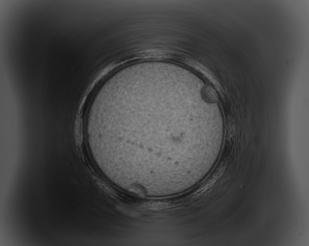 X0000100191075200806201250