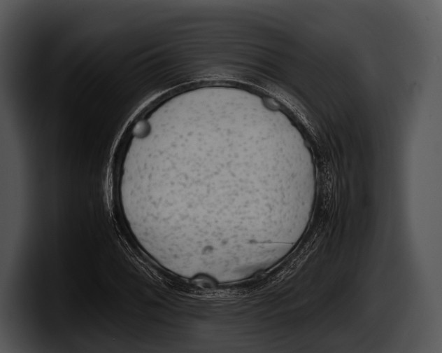 X0000100191076200806201250