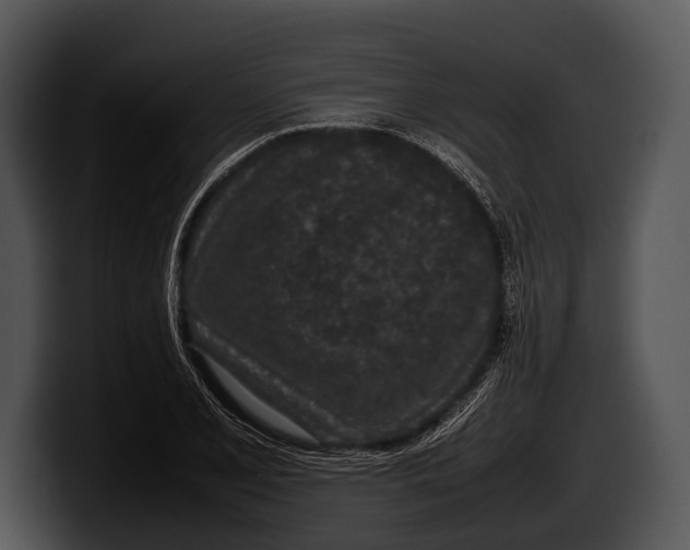 X0000100191077200806201250