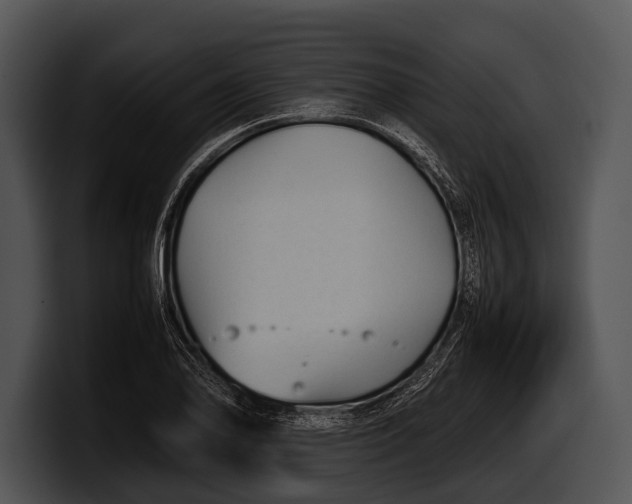 X0000100191078200806201250