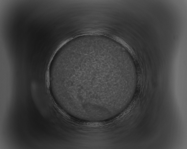 X0000100191079200806201249