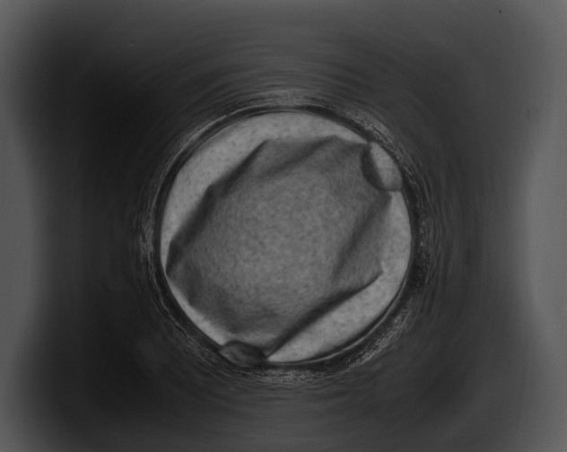 X0000100191081200806201249