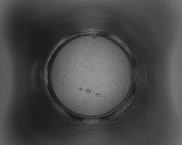 X0000100191083200806201249