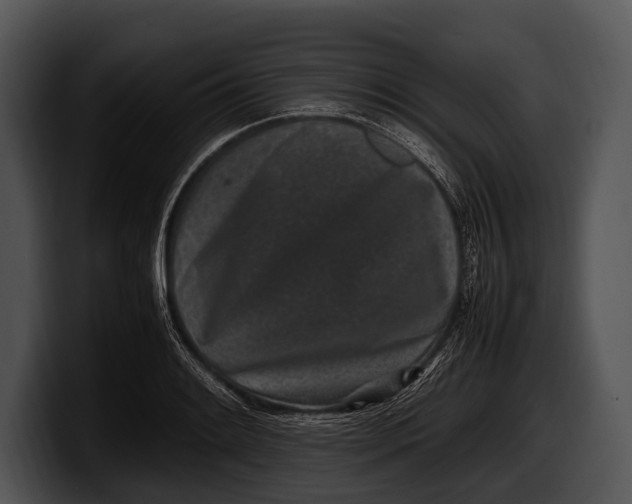 X0000100191084200806201249