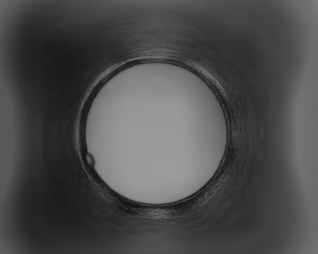 X0000100191085200806201249