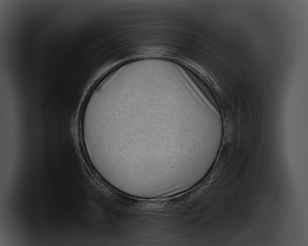 X0000100191086200806201249