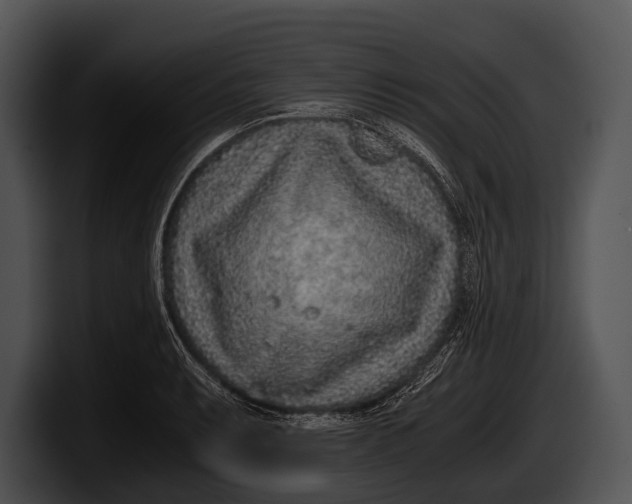 X0000100191087200806201249