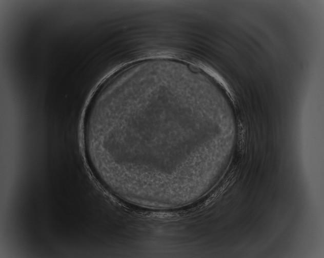 X0000100191088200806201249