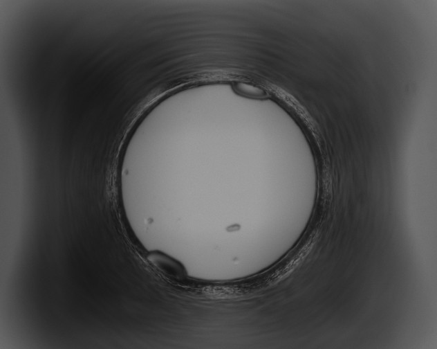 X0000100191089200806201249