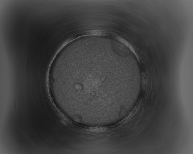 X0000100191091200806201249