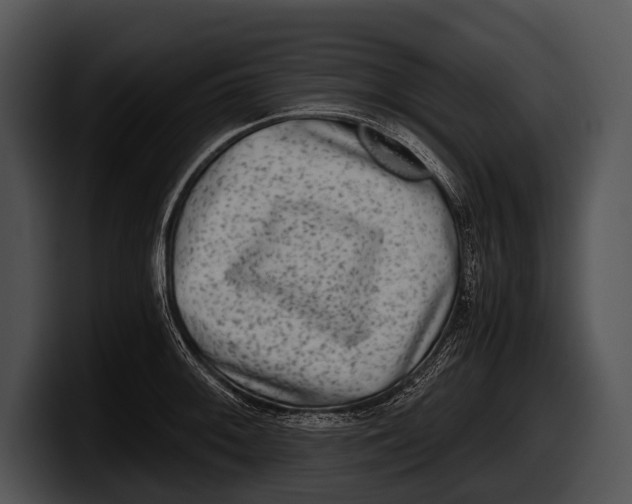 X0000100191092200806201249