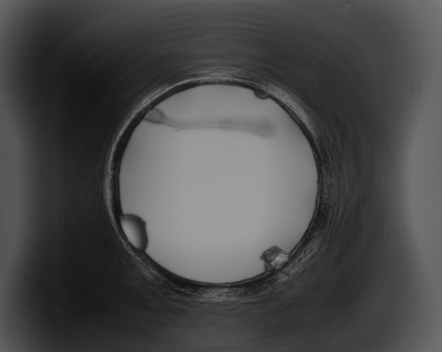 X0000100191093200806201249