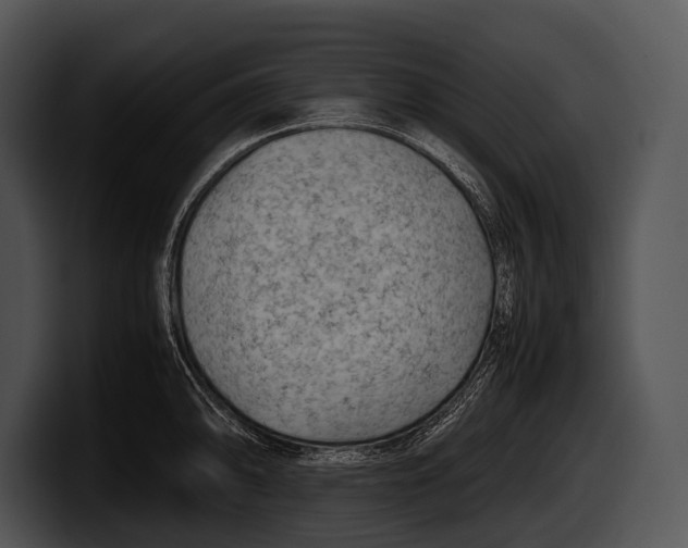 X0000100191094200806201249