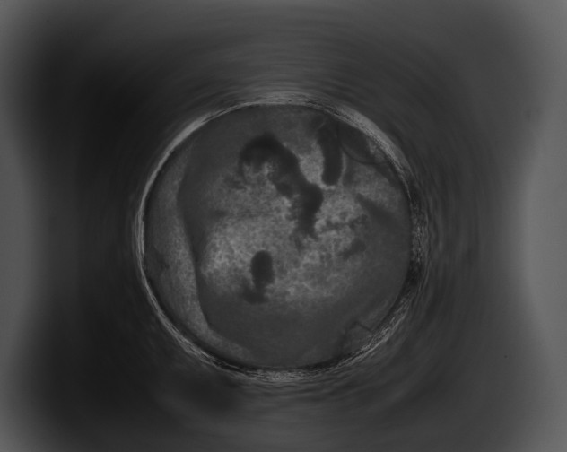 X0000100191095200806201249