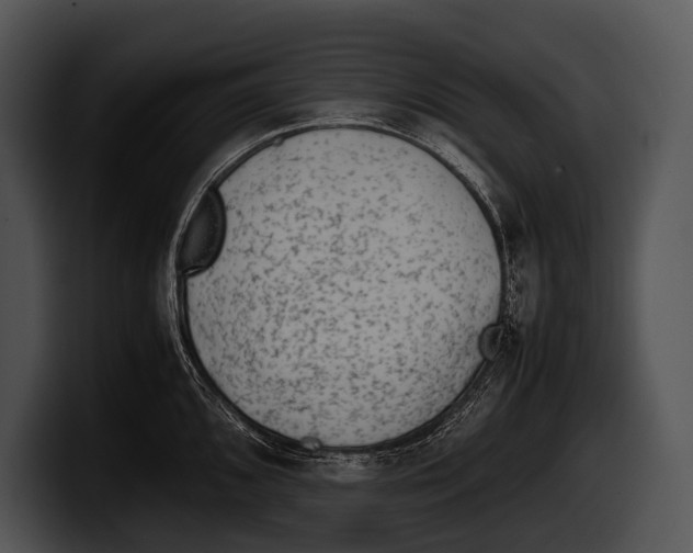 X0000100191096200806201249