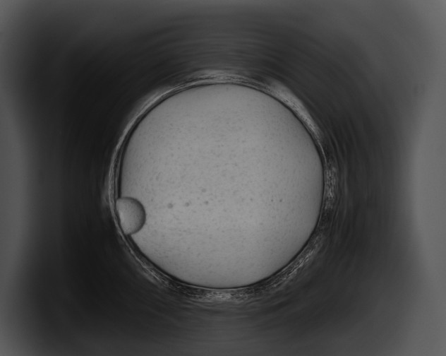 X0000100191098200806201249