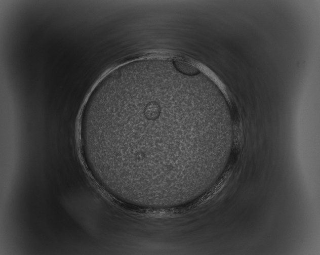 X0000100191099200806201249