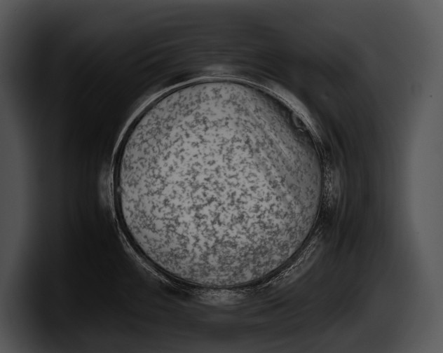 X0000100191100200806201249