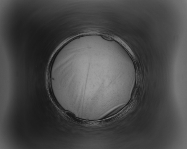 X0000100191101200806201249