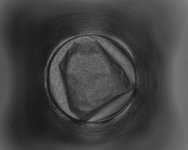 X0000100191102200806201249