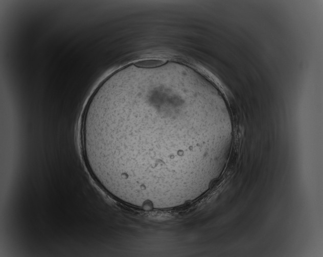 X0000100191103200806201249