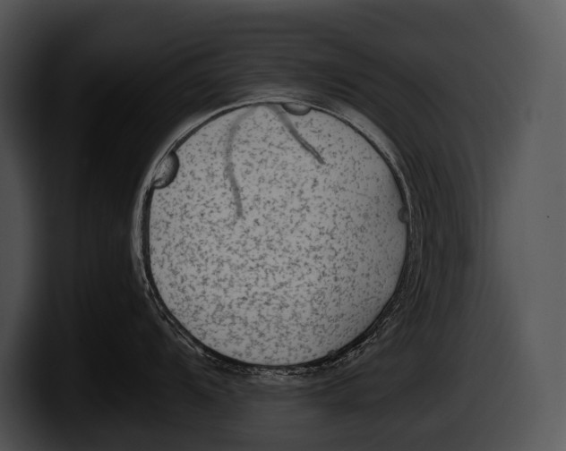 X0000100191104200806201249