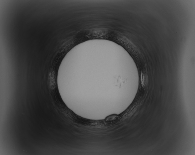 X0000100191107200806201249