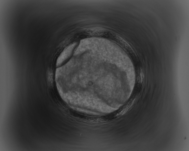 X0000100191108200806201249