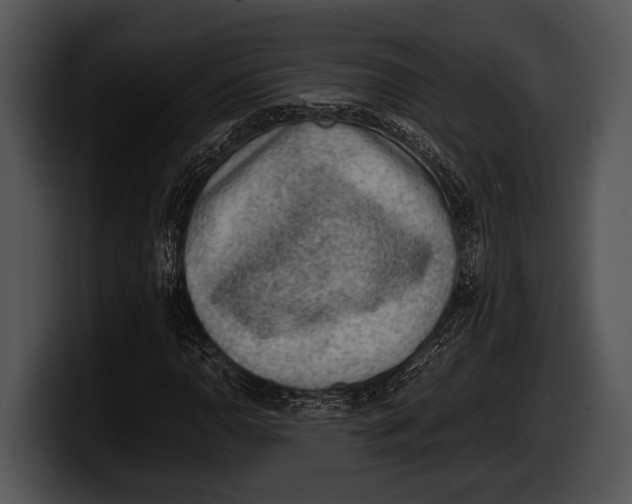 X0000100191110200806201249