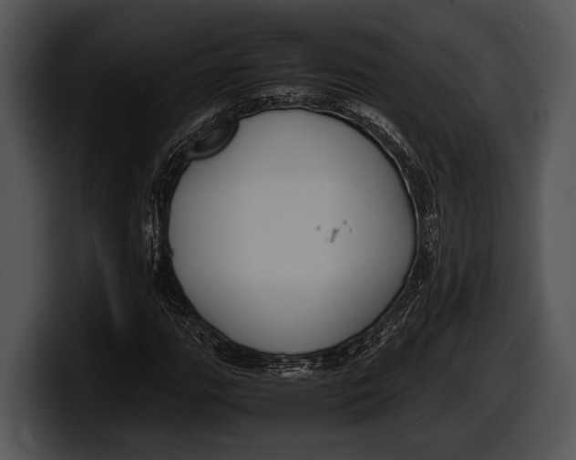 X0000100191111200806201249