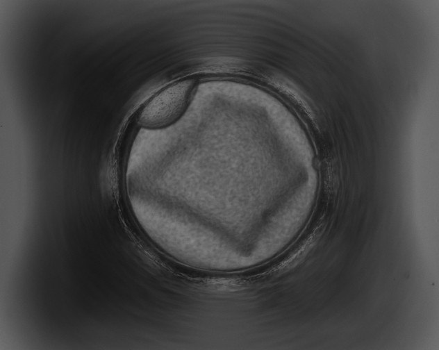 X0000100191114200806201249