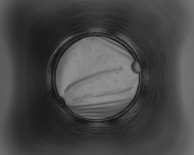 X0000100191115200806201249