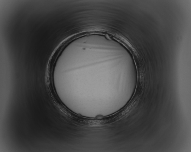 X0000100191116200806201249