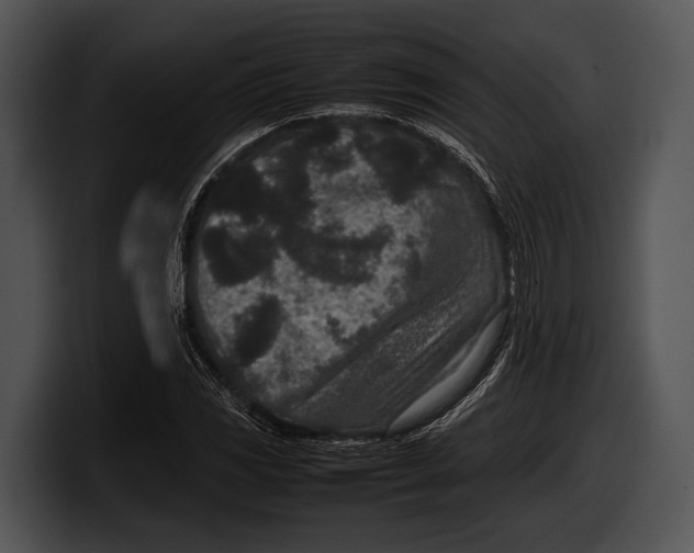 X0000100191117200806201249