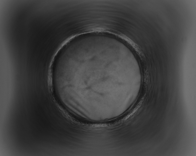 X0000100191118200806201249