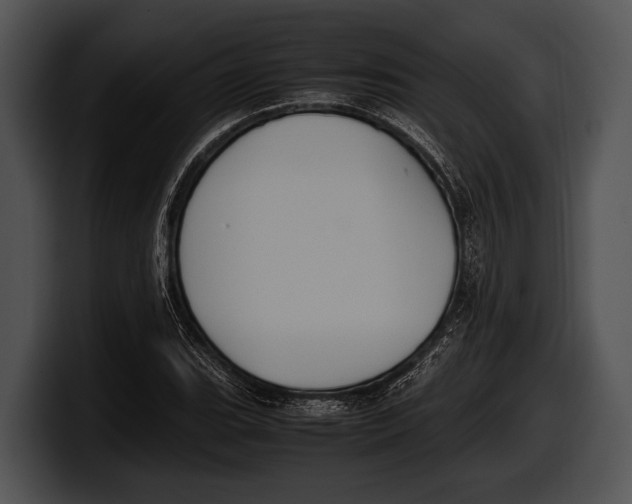 X0000100191119200806201249