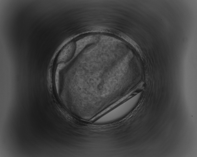 X0000100191120200806201249