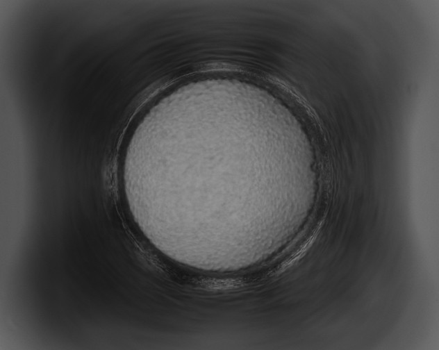 X0000100191121200806201249