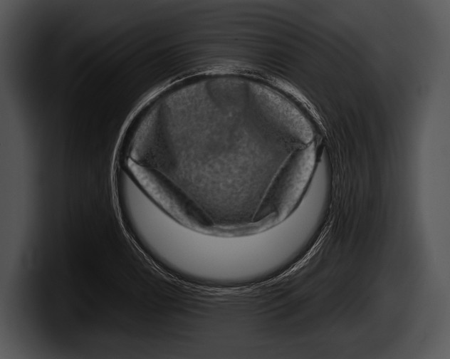 X0000100191122200806201249