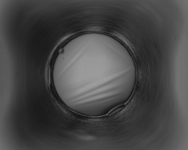 X0000100191123200806201249