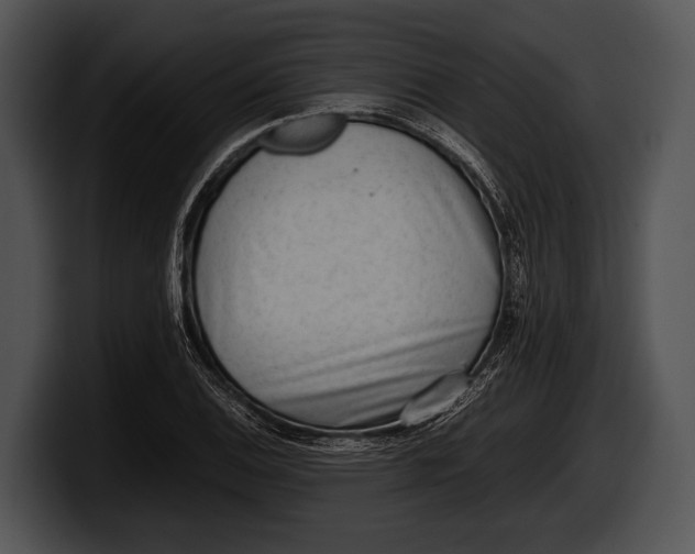 X0000100191124200806201249