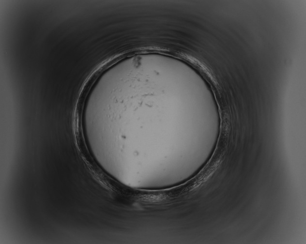 X0000100191125200806201249