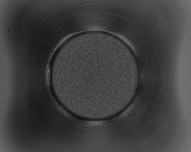 X0000100191126200806201249