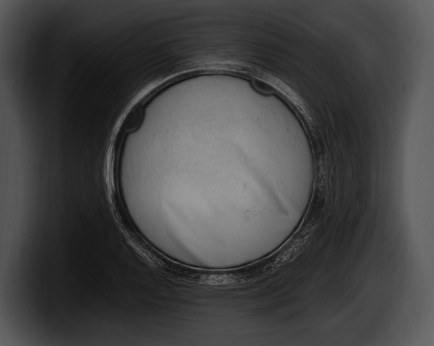 X0000100191128200806201249