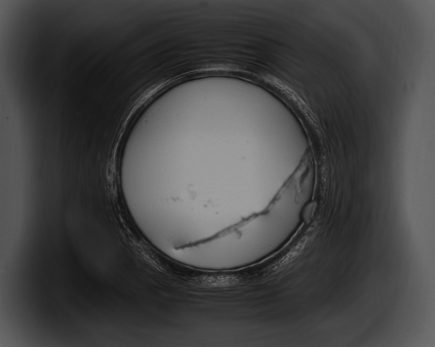 X0000100191129200806201249